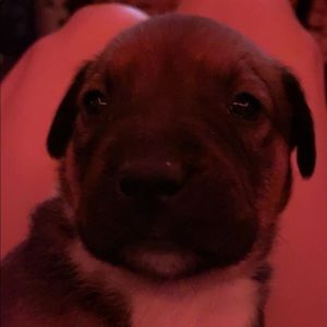 Meet your Posher, Mila